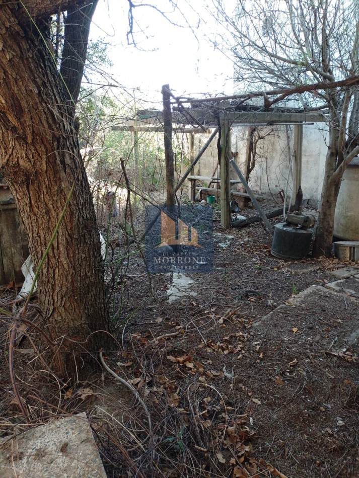 VENTA CASA 2 DORMITORIOS Y PARQUE, RIO NEGRO 1500 -SAN JOSE-