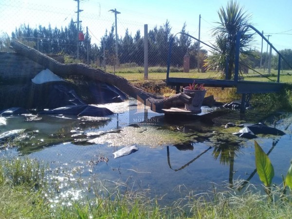 HERMOSA CASA QUINTA EN VENTA CERCA DEL RIO DE LA PLATA, ACEPTA PERMUTA, AV SAN MARTIN 100 -PUNTA INDIO-