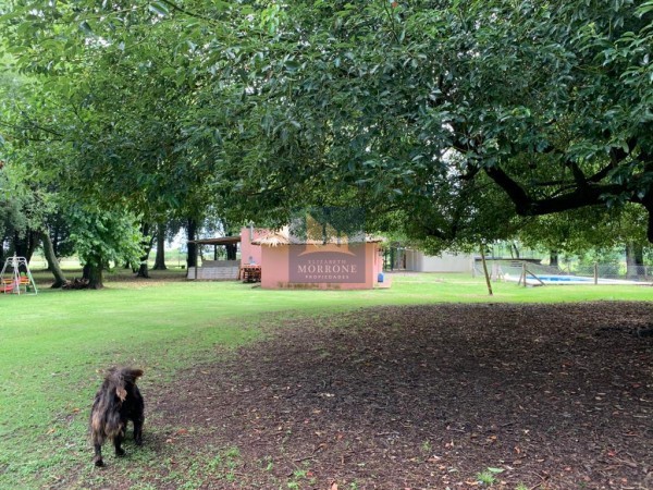 VENTA 10 HECTAREAS CON 2 CASAS CANCHAS DE FUTBOL QUINCHO Y PILETA, ALMIRANTE BROWN -VICENTE CASARES-