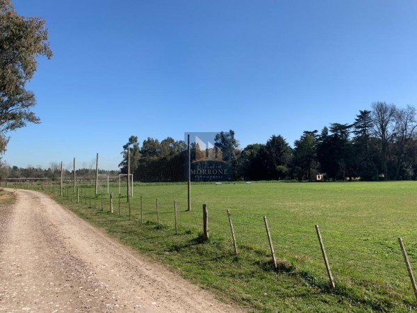 VENTA 10 HECTAREAS CON 2 CASAS CANCHAS DE FUTBOL QUINCHO Y PILETA, ALMIRANTE BROWN -VICENTE CASARES-