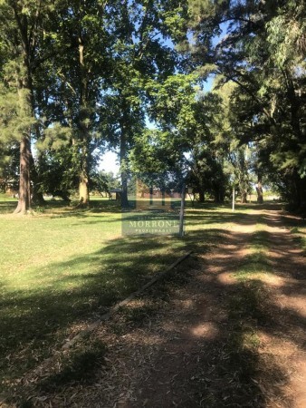 QUINTA EN VENTA 6 HECTÁREAS, RUTA 3 KILOMETRO 70 -CAÑUELAS-