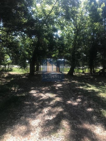 QUINTA EN VENTA 6 HECTÁREAS, RUTA 3 KILOMETRO 70 -CAÑUELAS-